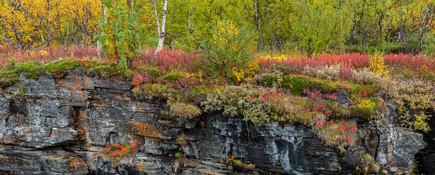 Abisko National Park - Sweden