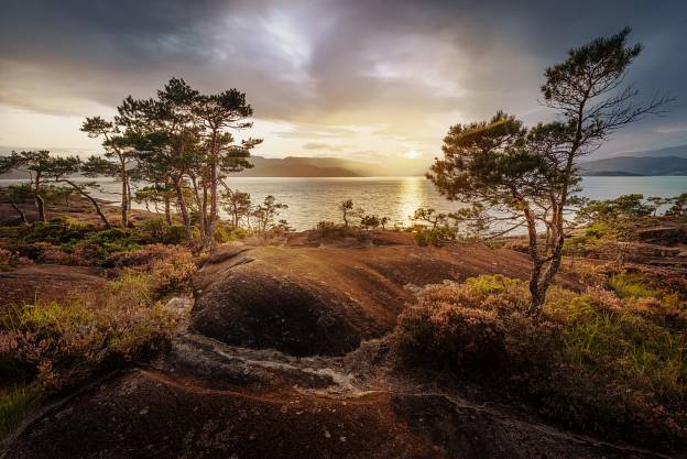 Hardangerfjord - Norway